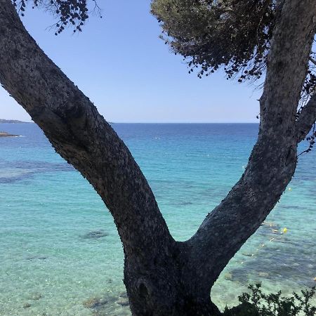 Les Baux 2 Sanary Sur Mer Luaran gambar