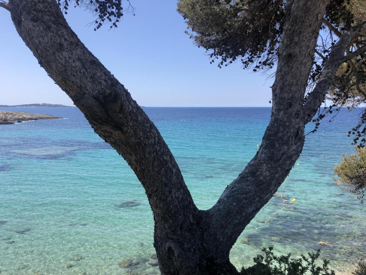 Les Baux 2 Sanary Sur Mer Luaran gambar